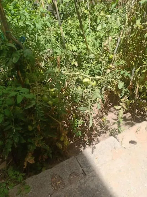 Vila Chambre Hostel Assif Marakéš
